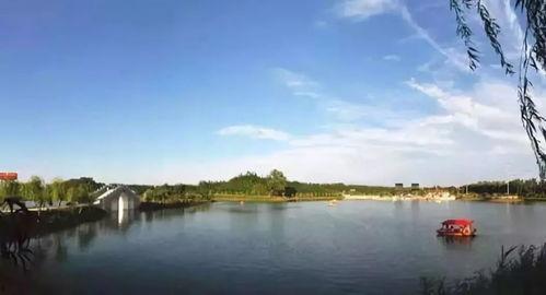 河南都市爆料周口新闻最新消息,周口突发！河南都市爆料最新事件详情揭晓